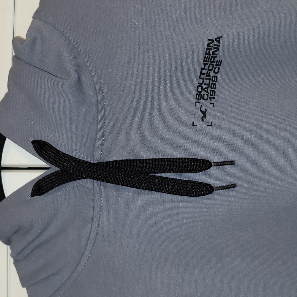 Mens Hollister  Hoodie